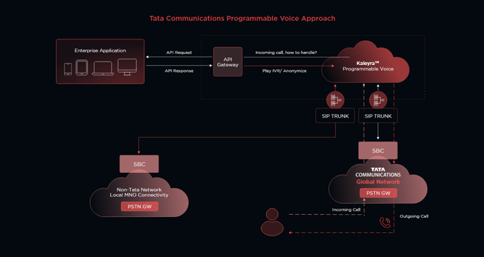 Programmable Voice API for VoIP Business Calling & Number Masking