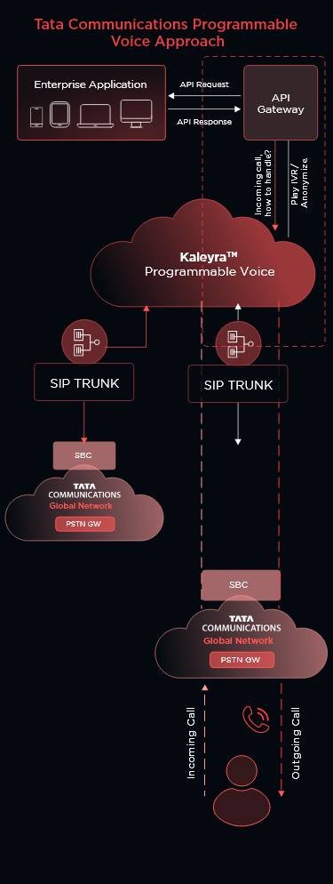 Programmable Voice API for VoIP Business Calling & Number Masking