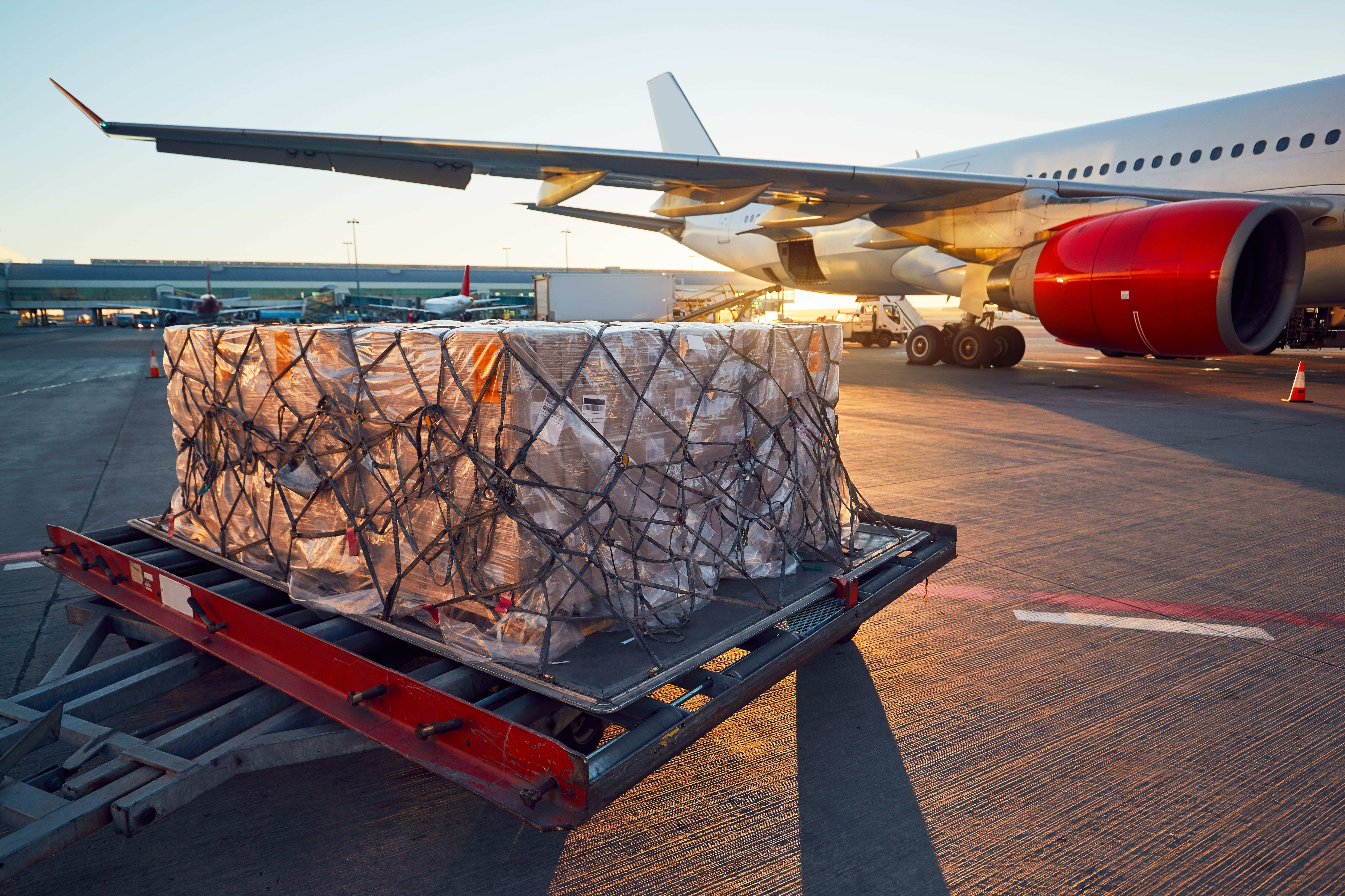 Baggage and Tracking Cargo