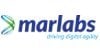 marlabs-white