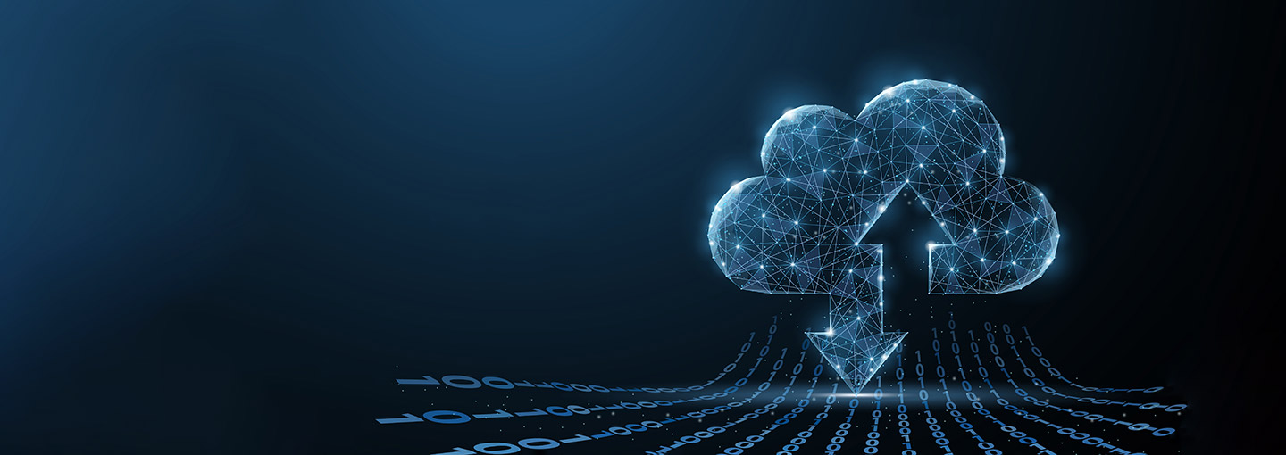 Hybrid WAN: Why your business needs it?