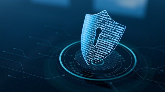 shutterstock_2461670657 (1)